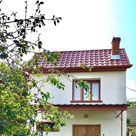 Boraszporta - Preshaz Guest house Villany