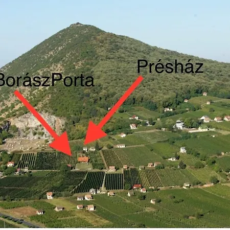 Boraszporta - Preshaz Guest house Villany