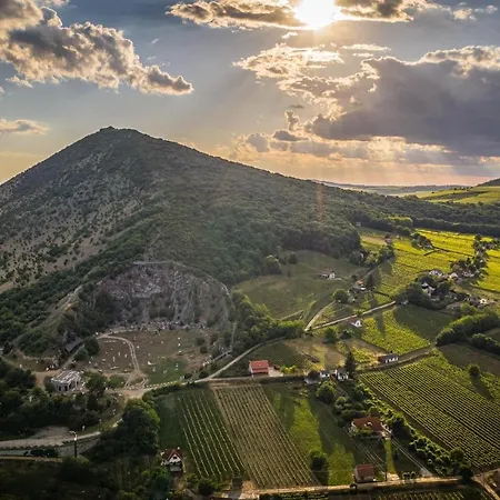 Guest house Boraszporta - Preshaz Villany