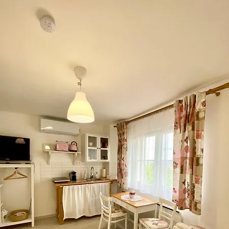Boraszporta - Preshaz Guest house Villany