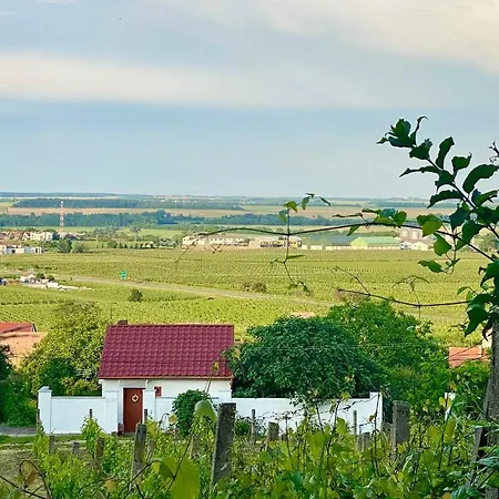 Boraszporta - Preshaz * Villany