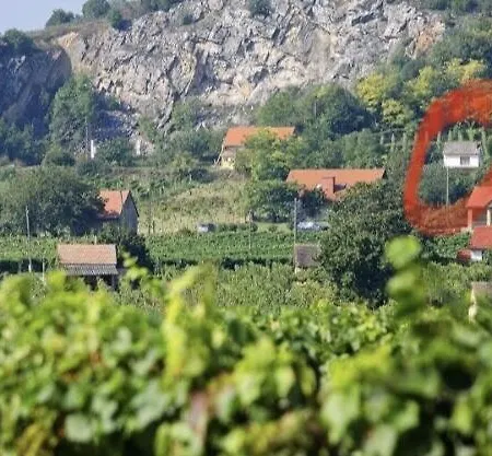 Boraszporta - Preshaz Guest house *