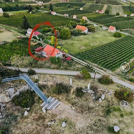 Guest house Boraszporta - Preshaz Villany