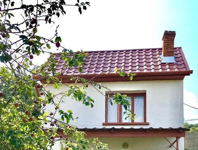 Boraszporta - Preshaz Guest house Villany