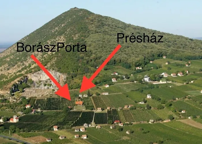 Boraszporta - Preshaz Guest house Villany