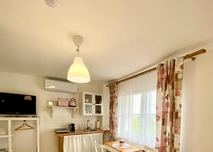 Boraszporta - Preshaz Guest house Villany